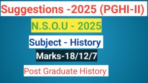 Read more about the article pghi suggestion 2025 2nd paper nsou m.a
