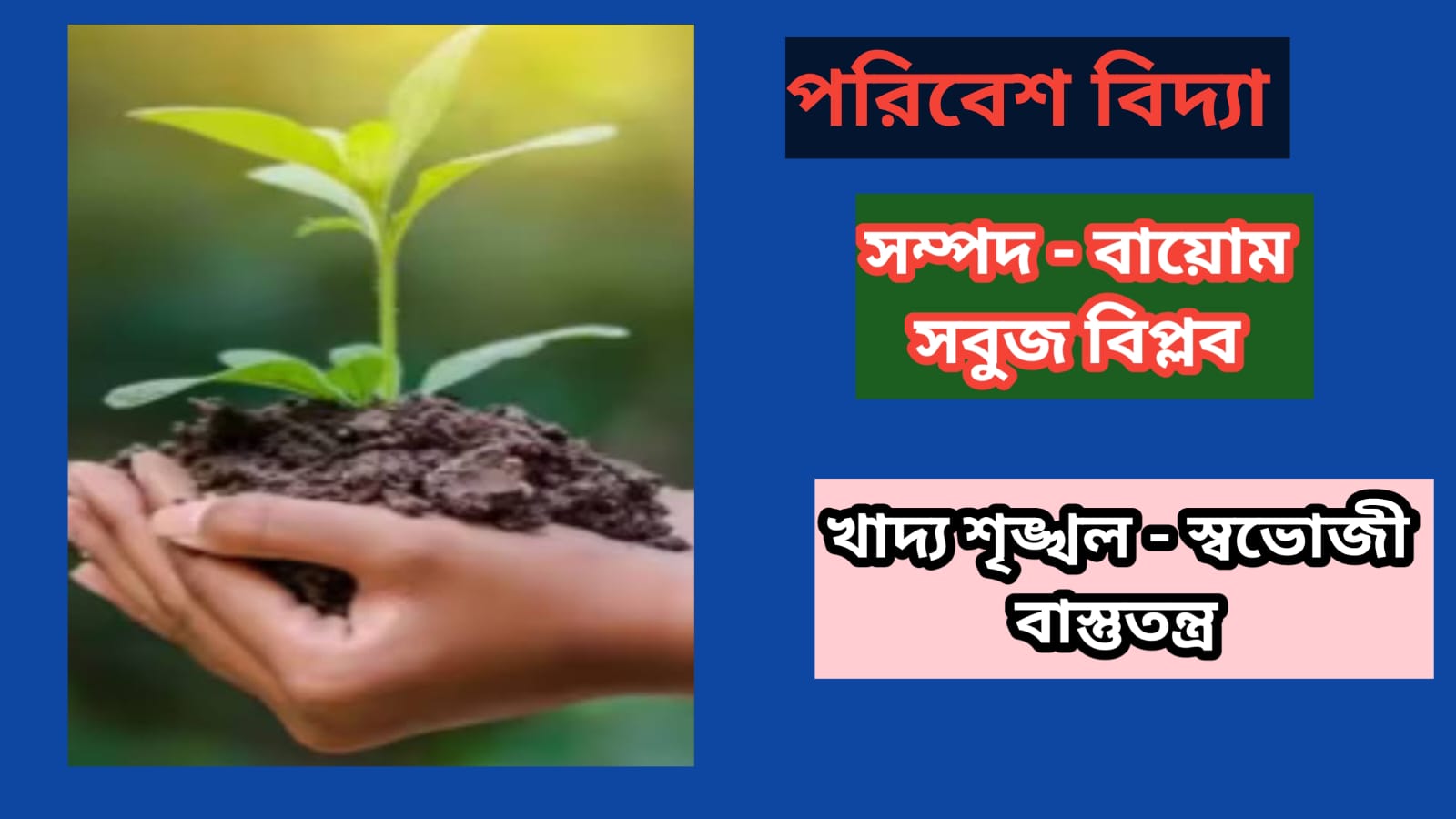 Read more about the article পরিবেশদূষণ এবং বিশ্ব পরিস্থিতি PART – 5